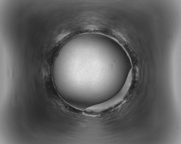 X0000087571158200704271242