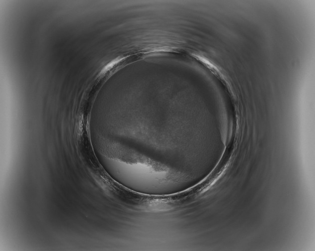 X0000087571161200704271242