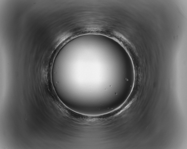 X0000087571162200704271242