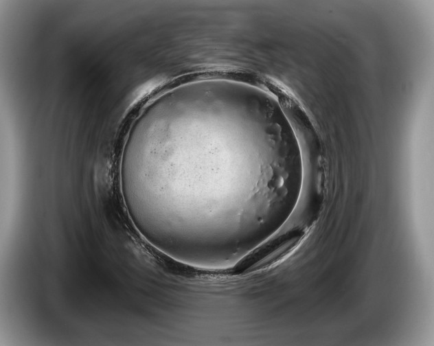 X0000087571163200704271242