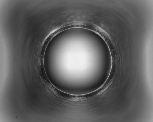 X0000087571166200704271242