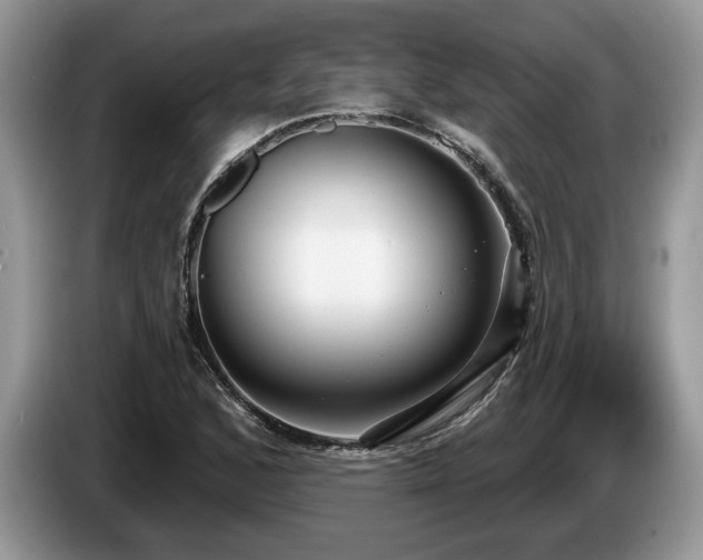 X0000087571168200704271242
