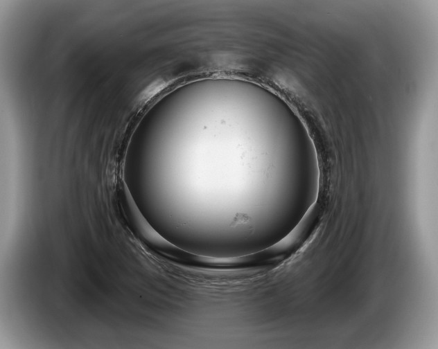 X0000087571169200704271242