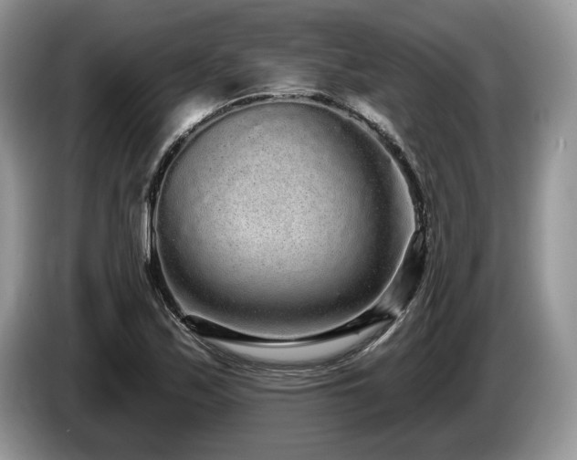 X0000087571171200704271242