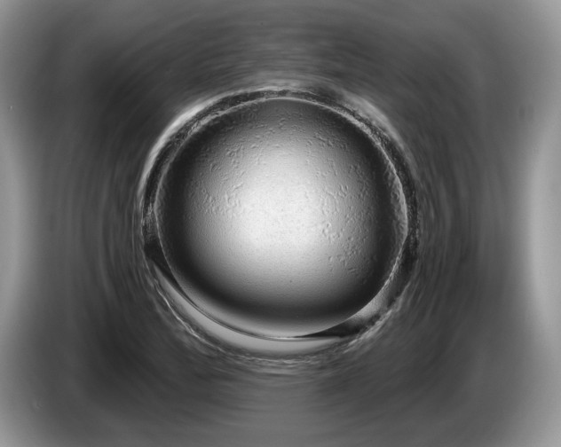 X0000087571172200704271242