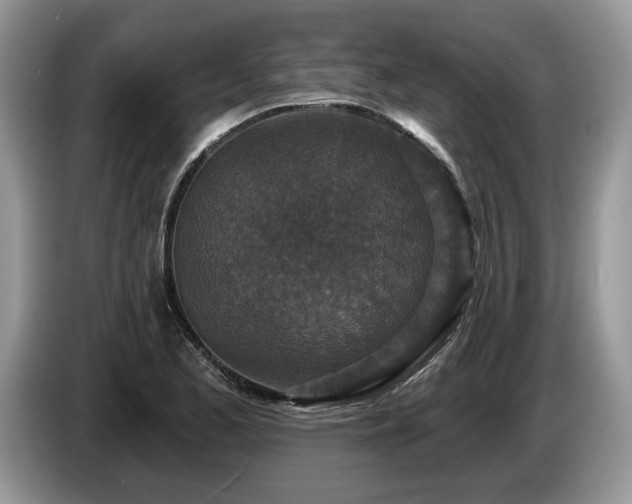 X0000087571173200704271242