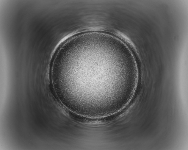 X0000087571174200704271242