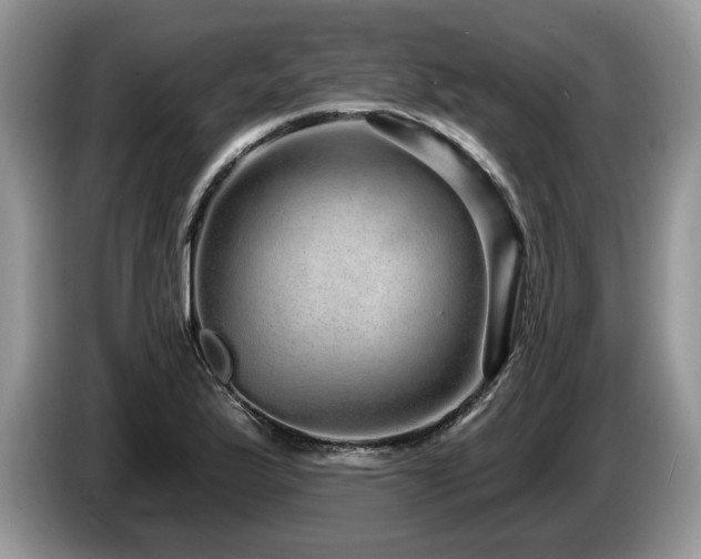X0000087571175200704271242