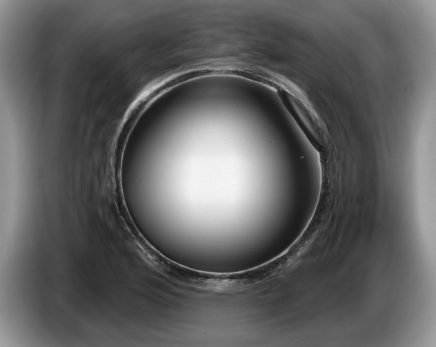 X0000087571176200704271242