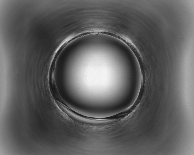X0000087571181200704271242