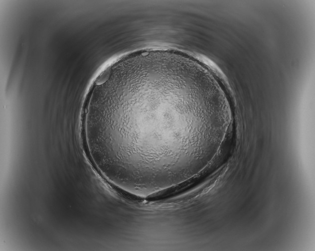 X0000087571183200704271242