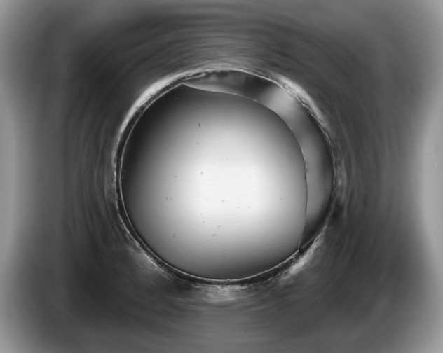 X0000087571184200704271242