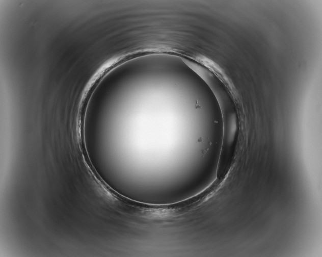 X0000087571188200704271242