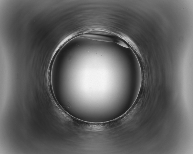 X0000087571190200704271242