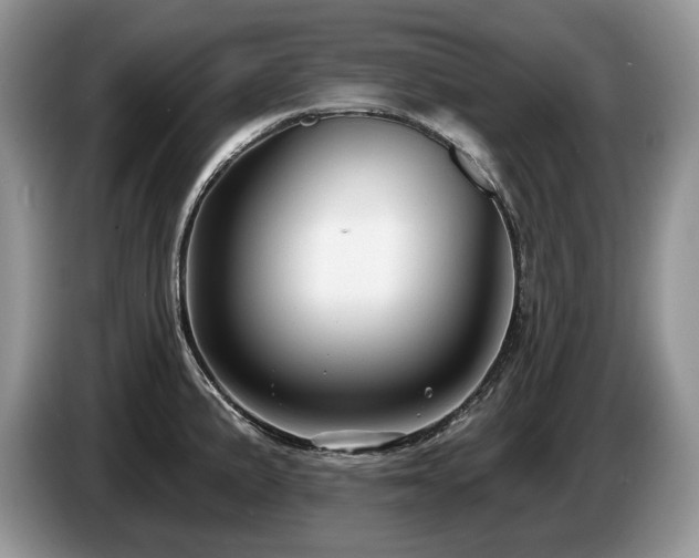 X0000087571191200704271242