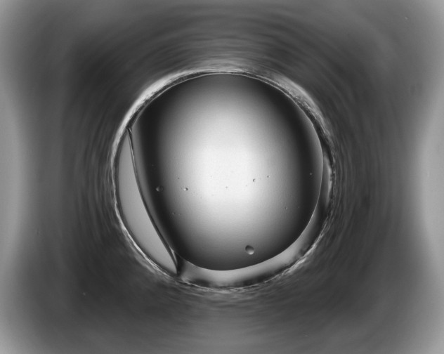 X0000087571192200704271242