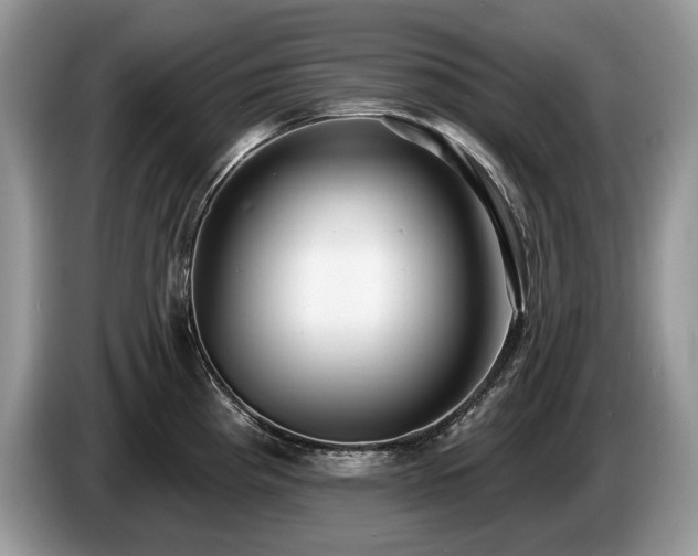 X0000087571193200704271242