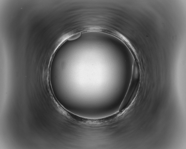 X0000087571194200704271242