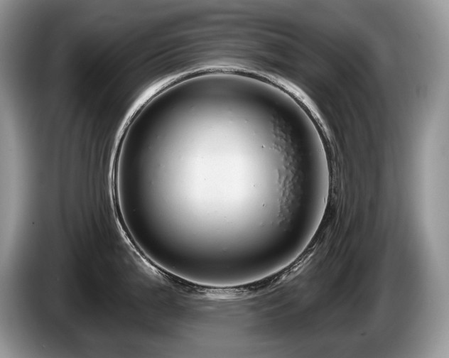 X0000087571199200704271241