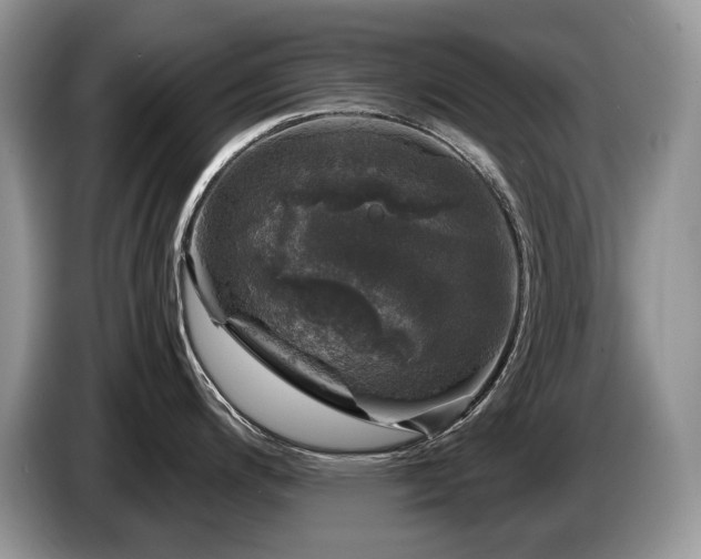 X0000087571200200704271241