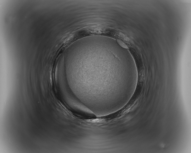 X0000087571202200704271241
