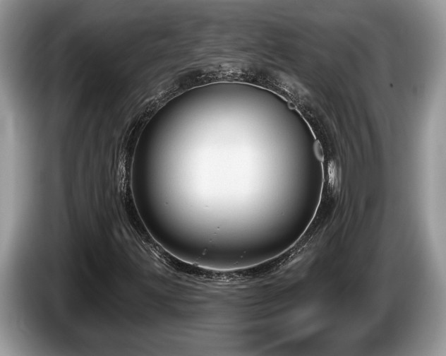 X0000087571203200704271241