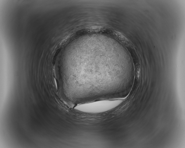 X0000087571204200704271241