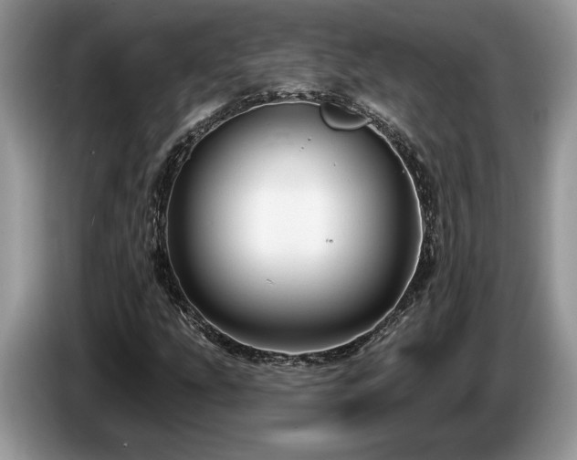 X0000087571207200704271241