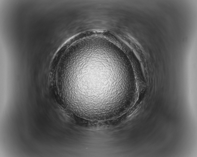 X0000087571208200704271241
