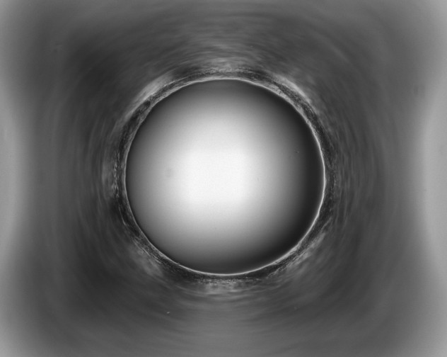 X0000087571211200704271241