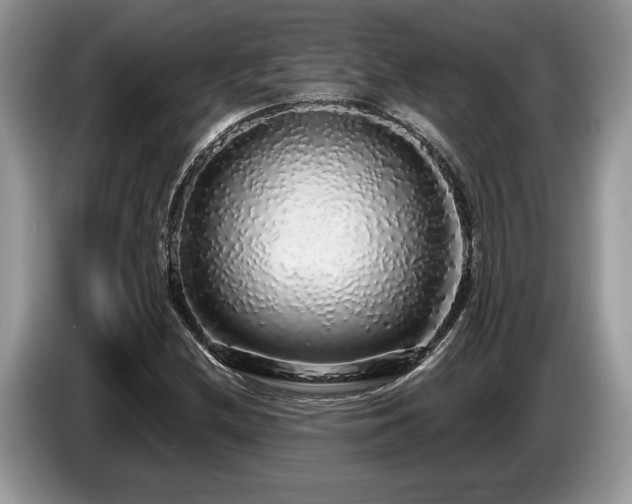 X0000087571212200704271241