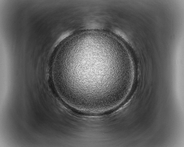 X0000087571213200704271241