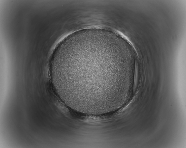 X0000087571215200704271241
