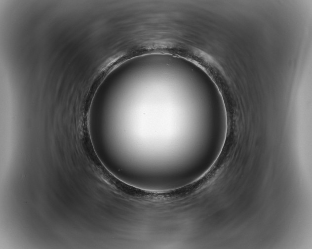 X0000087571217200704271241