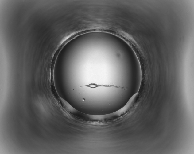 X0000087571220200704271241
