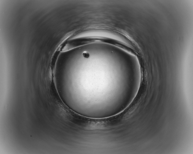 X0000087571221200704271241