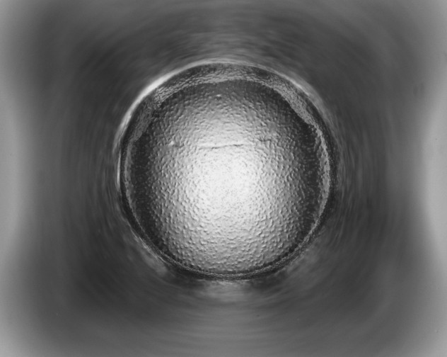 X0000087571224200704271241