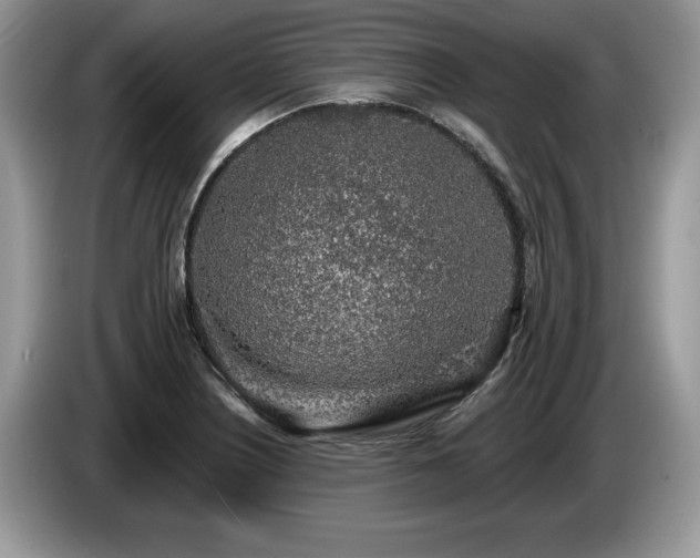 X0000087571226200704271241