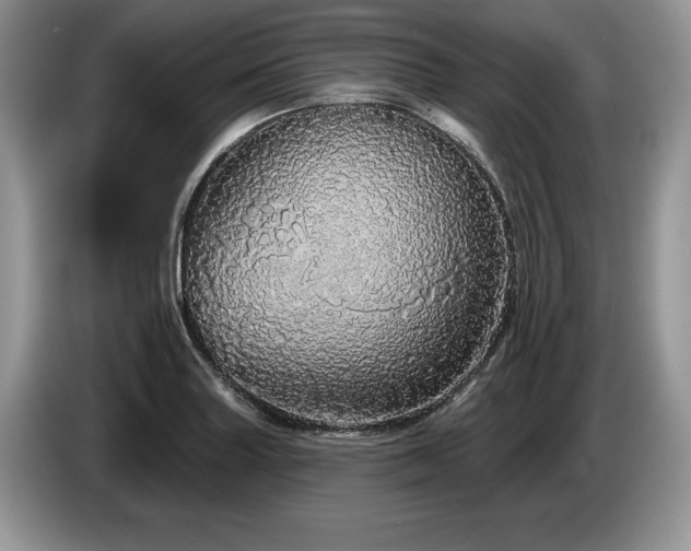 X0000087571227200704271241