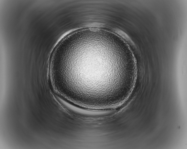 X0000087571228200704271241