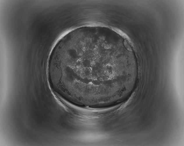 X0000087571231200704271241