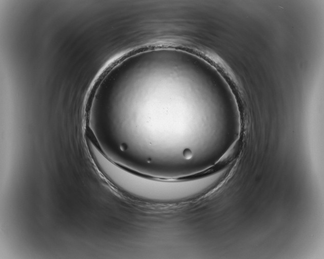 X0000087571232200704271241