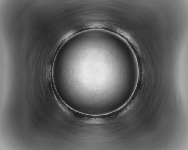 X0000087571233200704271241