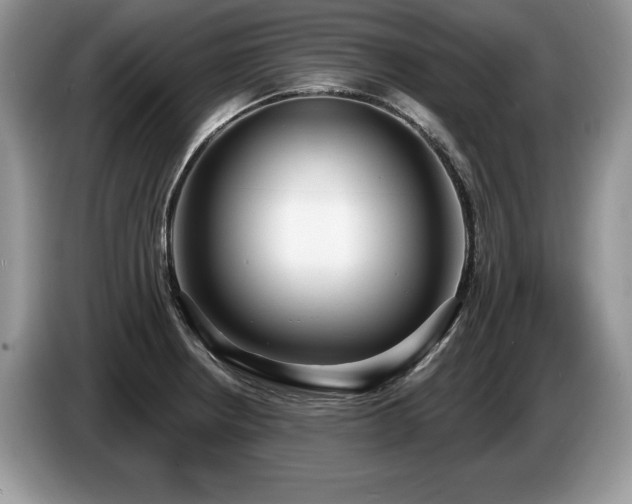 X0000087571234200704271241