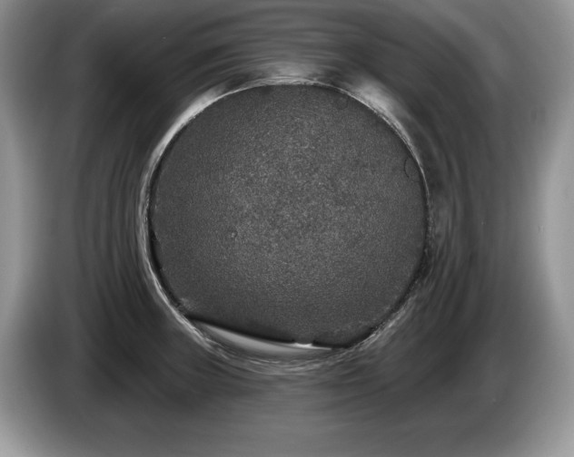 X0000087571235200704271241