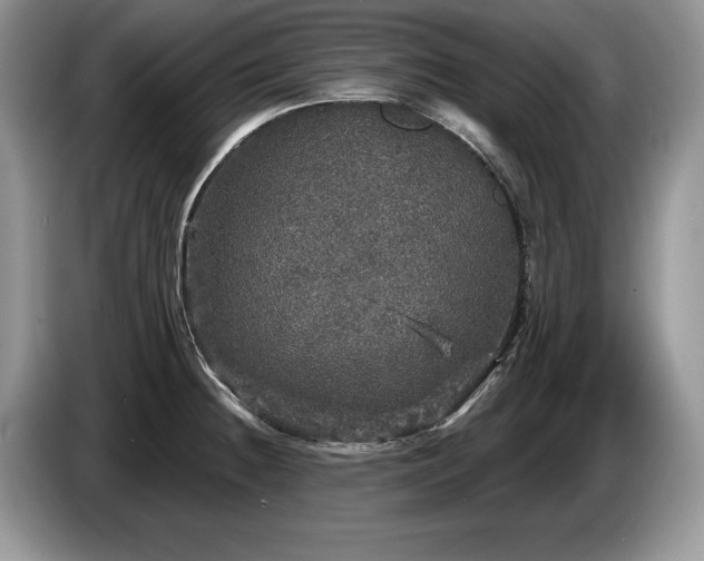 X0000087571236200704271241