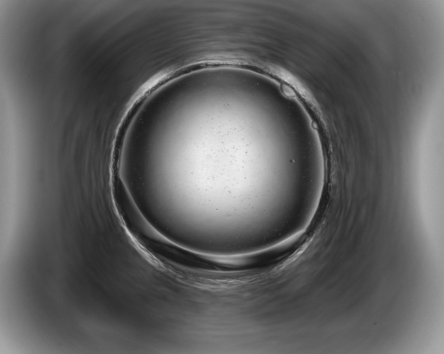 X0000087571237200704271241