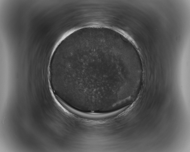 X0000087571239200704271241