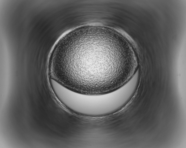 X0000087571240200704271241