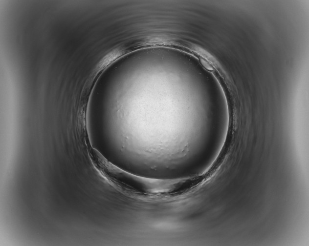 X0000087571241200704271241